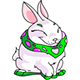 Fluffy Bunny!