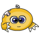 It's a Kiko!